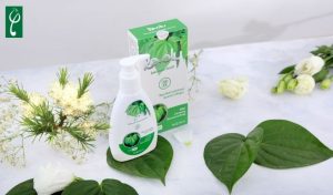 gia công dung dịch vệ sinh phụ nữ trầu không tràm trà