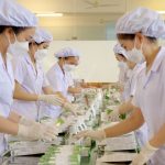 gia công dung dịch vệ sinh phụ nữ trị nấm Candida