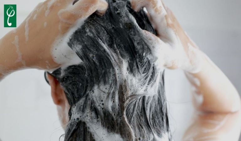 Gội đầu nhiều có nhanh mọc tóc không