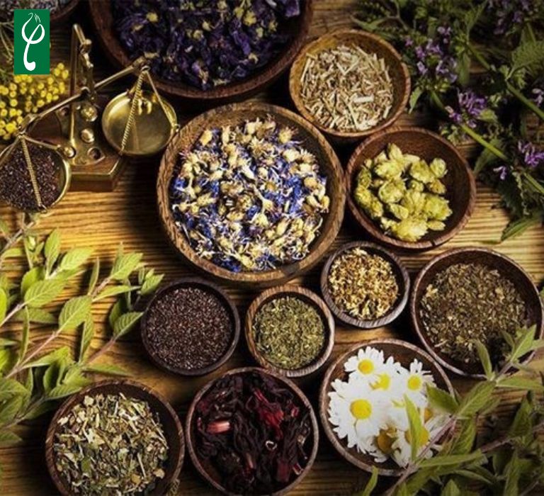 Chủ đầu tư nên gia công dung dịch vệ sinh phụ nữ từ nguyên liệu lành tính
