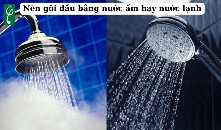 Nên gội đầu bằng nước ấm hay nước lạnh