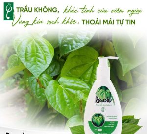 gia công dung dịch vệ sinh phụ nữ tại Hà Tĩnh