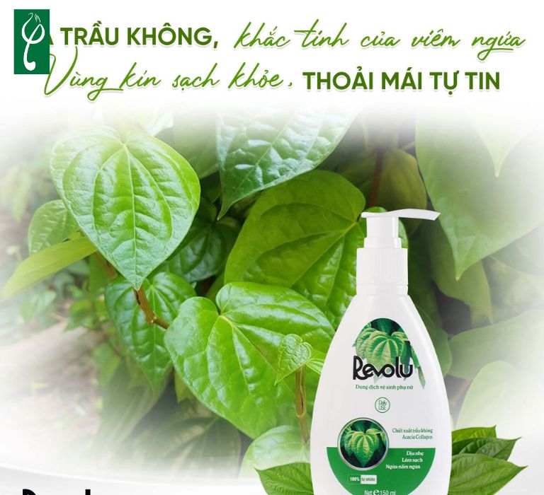 gia công dung dịch vệ sinh phụ nữ tại Hà Tĩnh