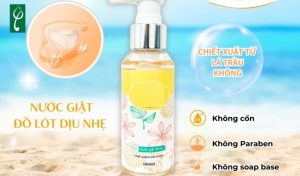 Gia công nước giặt quần lót dịu nhẹ