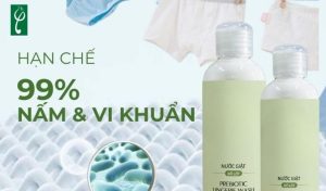 Gia công nước giặt quần lót kháng nấm