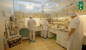 Gia công nước giặt quần lót tại Hà Nam