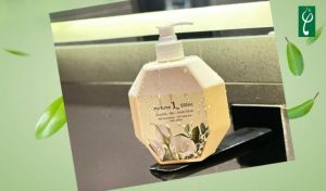 Gia công nước giặt quần lót tại Ninh Bình