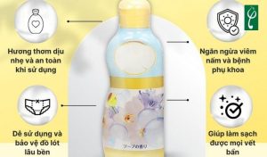 Gia công nước giặt quần lót tại Quảng Bình