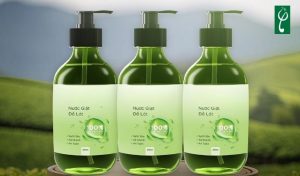 Gia công nước giặt quần lót tại Quảng Trị
