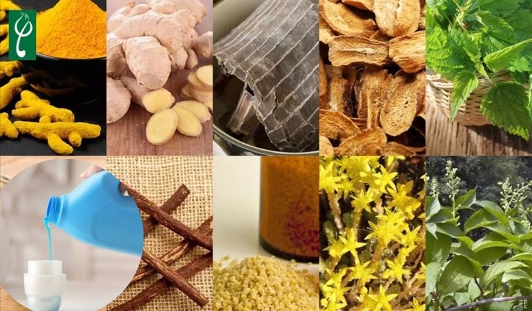 Gia công nước giặt quần lót thảo mộc