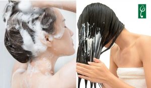 Nên gội dầu xả trước hay dầu gội trước