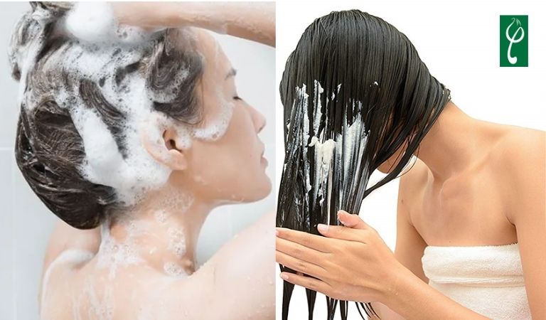 Nên gội dầu xả trước hay dầu gội trước