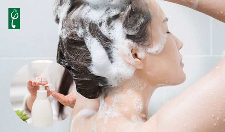 Gội đầu bằng dầu gội đặc trị để loại bỏ gàu