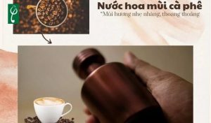 Gia công nước hoa hương cà phê