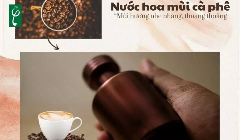 Gia công nước hoa hương cà phê