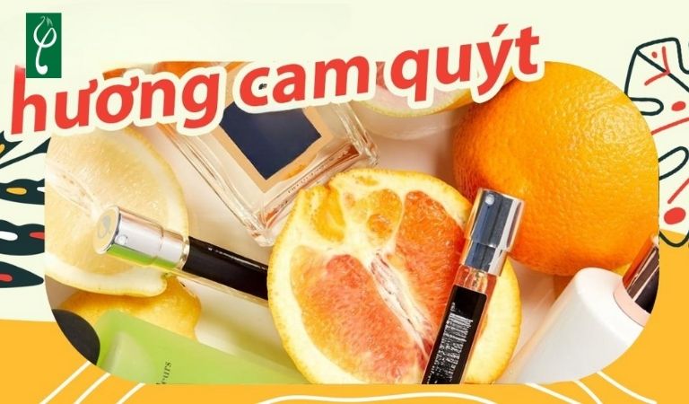 gia công nước hoa hương cam quýt