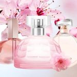 Gia công nước hoa hương hoa anh đào
