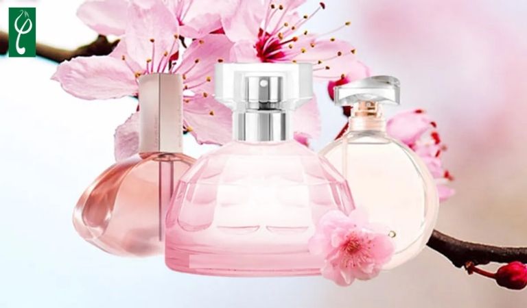Gia công nước hoa hương hoa anh đào
