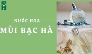 gia công nước hoa hương bạc hà