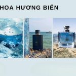 gia công nước hoa hương biển