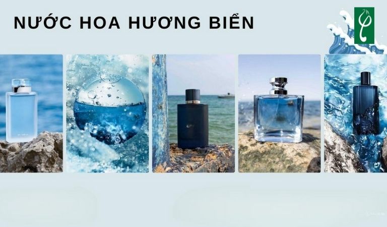 gia công nước hoa hương biển