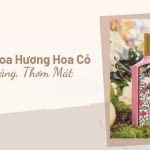 gia công nước hoa hương cỏ
