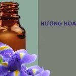 gia công nước hoa hương hoa diên vĩ