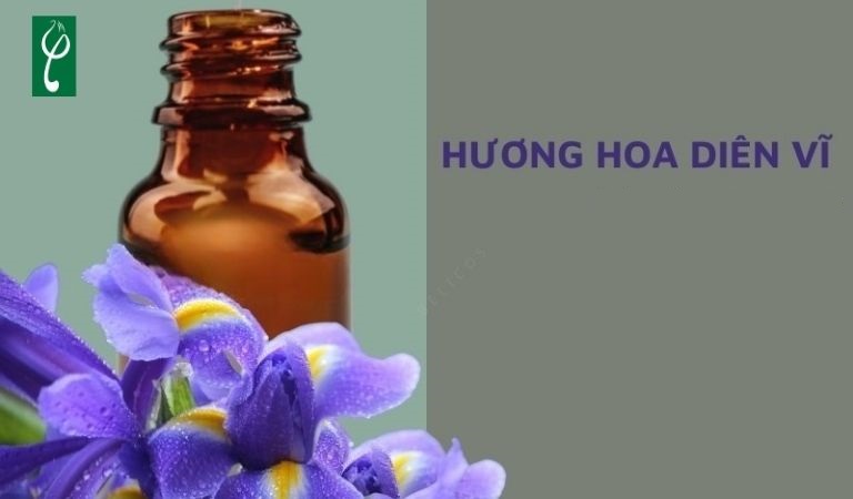 gia công nước hoa hương hoa diên vĩ