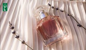 Gia công nước hoa nhẹ nhàng