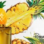 gia công nước hoa hương dứa nướng