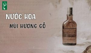 Gia công nước hoa hương gỗ