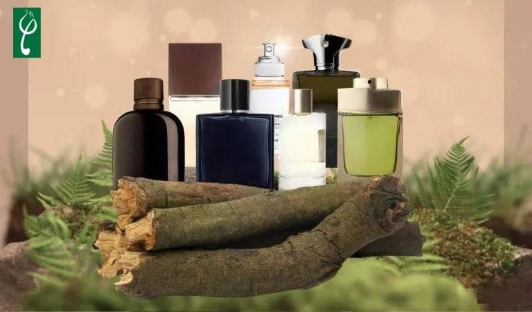 gia công nước hoa hương gỗ trầm