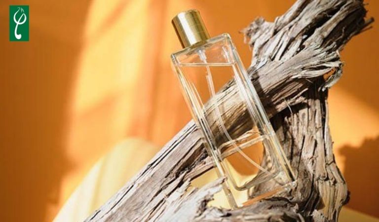 Gia công nước hoa hương gỗ tuyết tùng