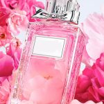 gia công nước hoa hương hoa hồng
