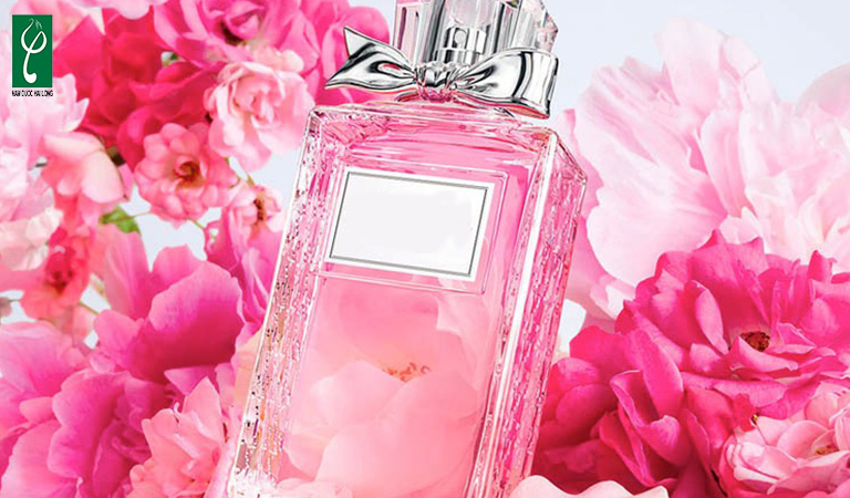 gia công nước hoa hương hoa hồng