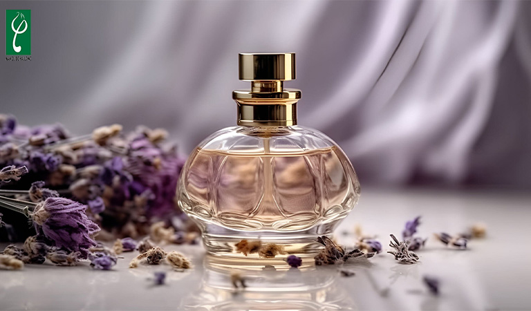 gia công nước hoa hương lavender