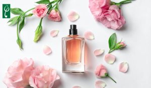 gia công nước hoa lưu hương 24h