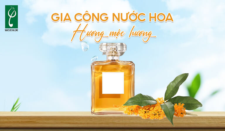 gia công nước hoa hương mộc hương