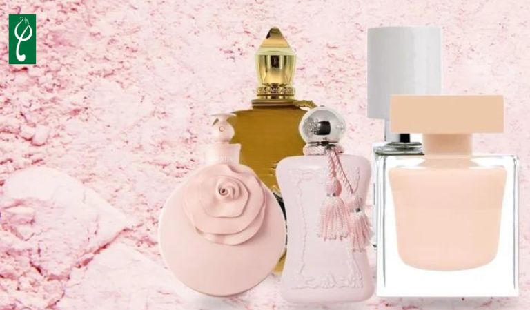 Gia công nước hoa hương phấn rôm