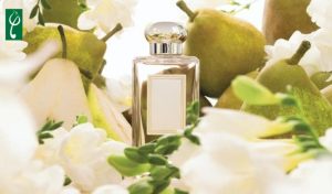 gia công nước hoa hương quả lê