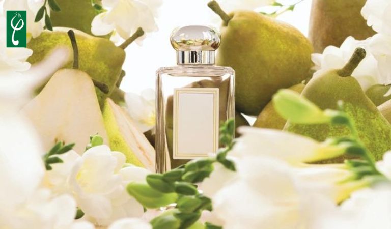 gia công nước hoa hương quả lê