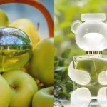 gia công nước hoa hương táo xanh
