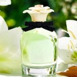 Gia công nước hoa hương thanh mát
