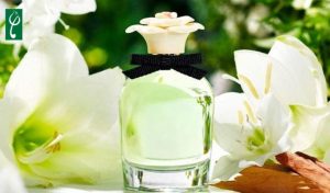 Gia công nước hoa hương thanh mát