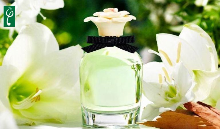 Gia công nước hoa hương thanh mát