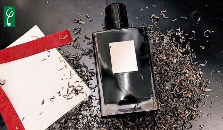 Gia công nước hoa hương trà đen