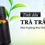 gia công nước hoa hương trà trắng
