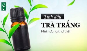 gia công nước hoa hương trà trắng