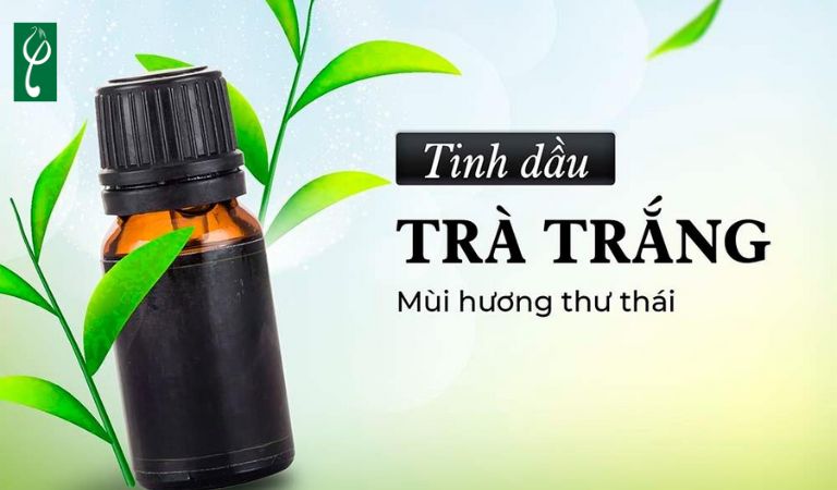 gia công nước hoa hương trà trắng