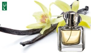 gia công nước hoa hương vani